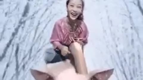 funny, witty video