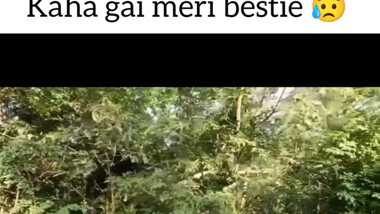 Kaha gai meri bestie