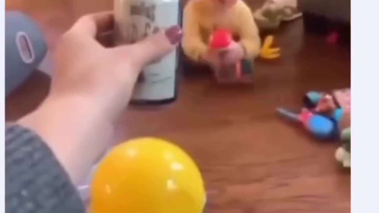 Funny memes