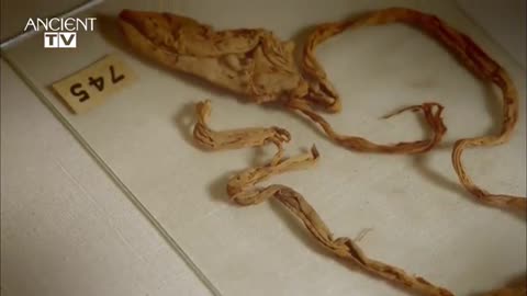Secret lives of the ancient Egyptians , Sex , drugs and crocodile dung