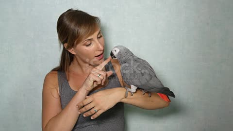 Parrot First French kiss