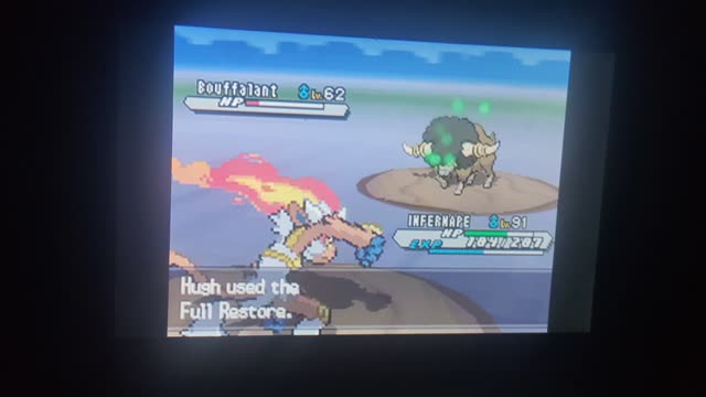 Pokemon White2:One Last Rival Battle