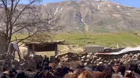 Making butter in villages.