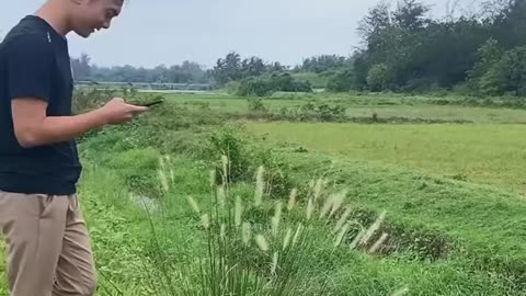 Best Funny Video - Try not to laugh