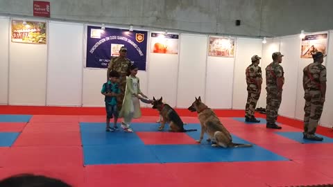 CISF démonstration of dog squad