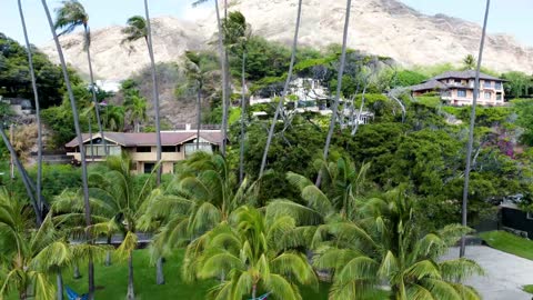 Diamond Head Beach Park