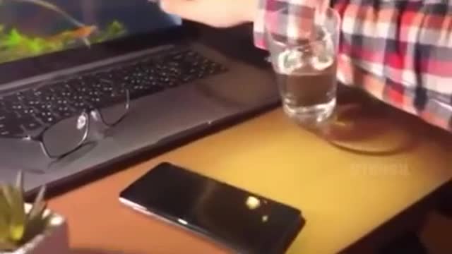 Вся боль а одном видео