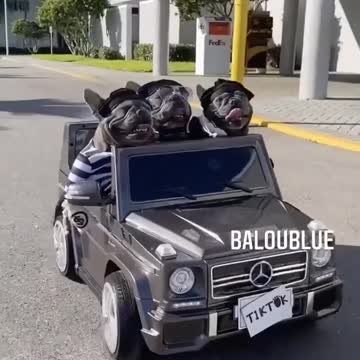 🚨Jail Break Caught on Camera 🚨