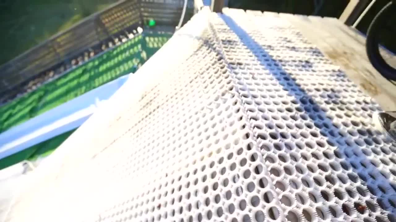 Extreme sports of great people from all over the world