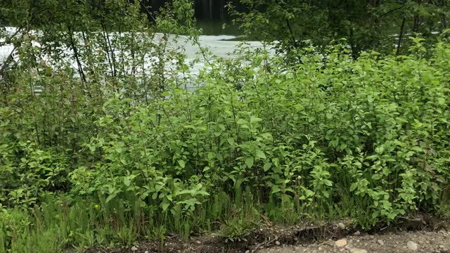 Boat Jumps Across Road