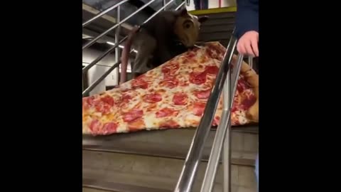 Meanwhile, In The NYC Subway...