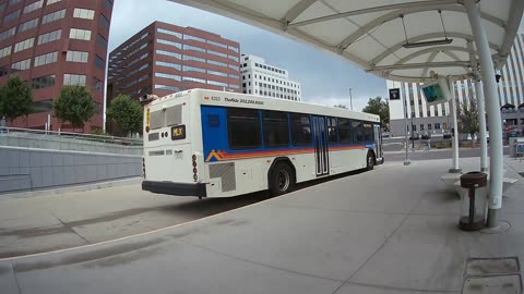 Denver Busses