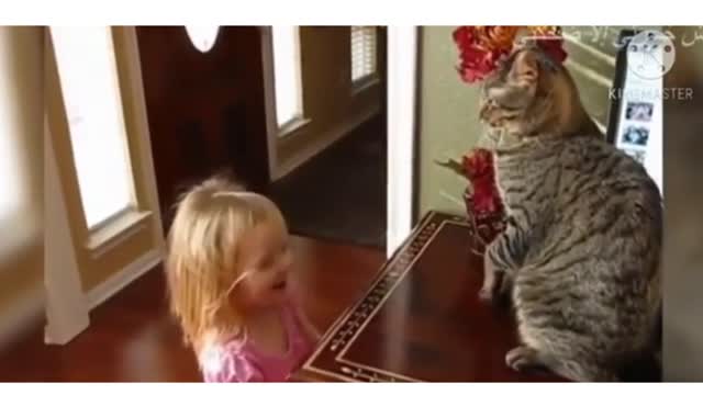 cats play with children very funny clips