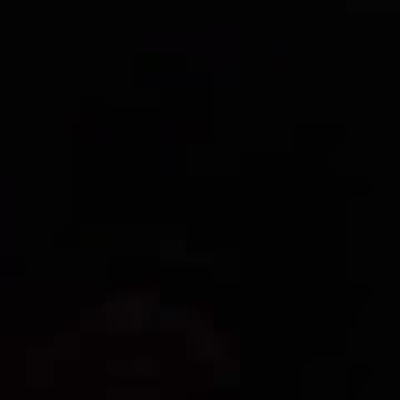 "Skeert, skin getting eaten up by bugs!" (2020)