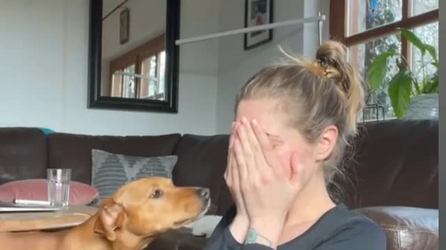 My dog reaction when i was crying