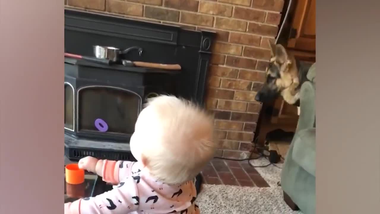 Cute Babies Playing With Dogs Funny Baby And Pets