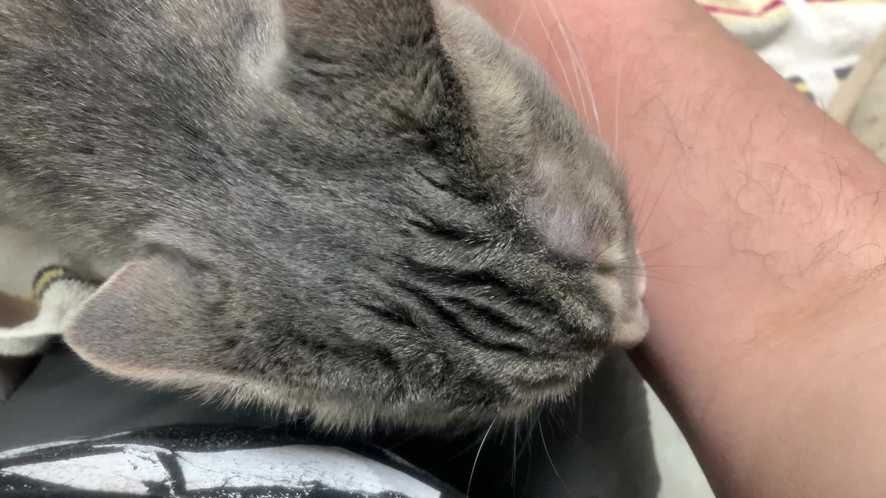 Mr. Cotton cleaning my arm for ALMOST five whole minutes