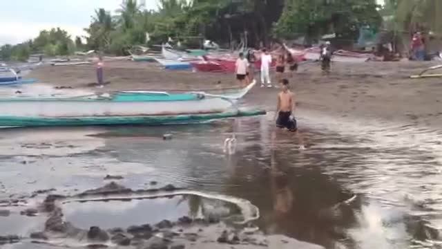 Mishka loves the ocean