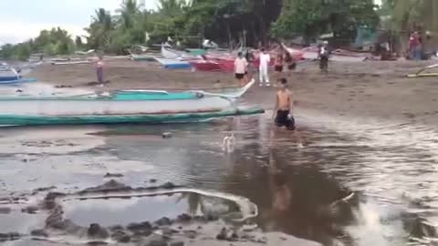 Mishka loves the ocean