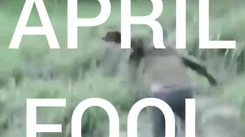 April fool