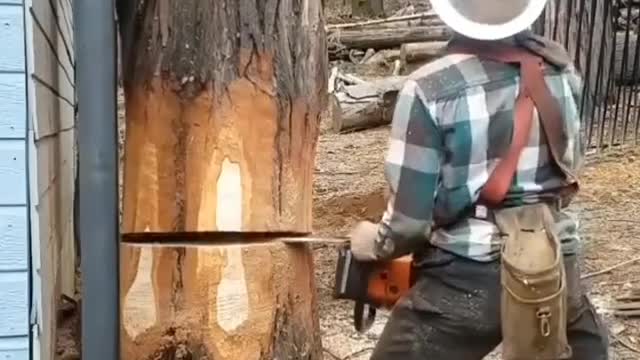 Professional wood cutting