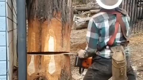 Professional wood cutting