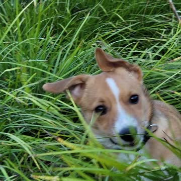 Playing Hide and Seek