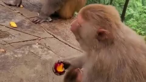 Mother save her baby