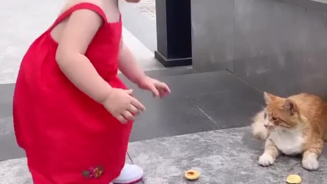 Cute baby playing with cat