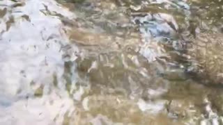 Nice place to fish