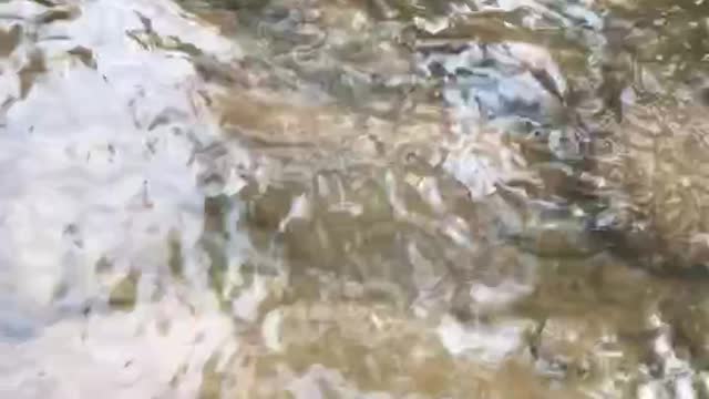 Nice place to fish