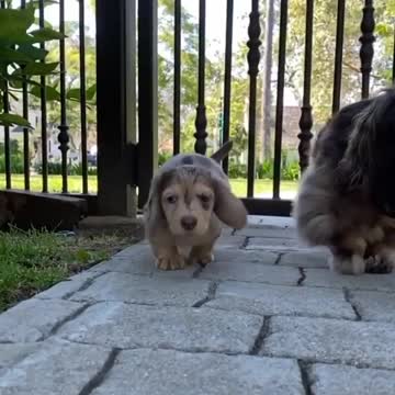 My smol life so far in 20seconds