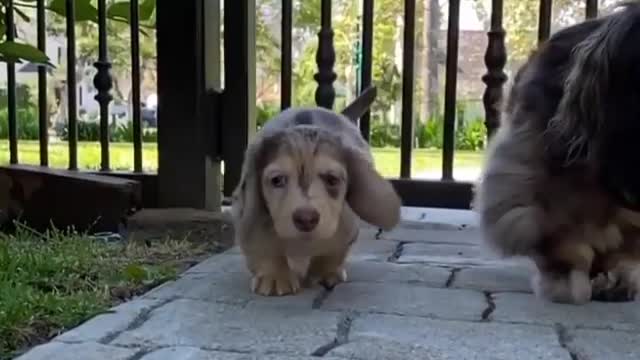 My smol life so far in 20seconds