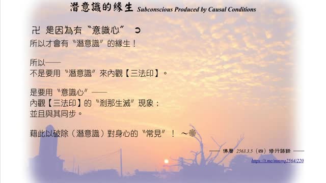 005【是因為有〝意識心〞】630305