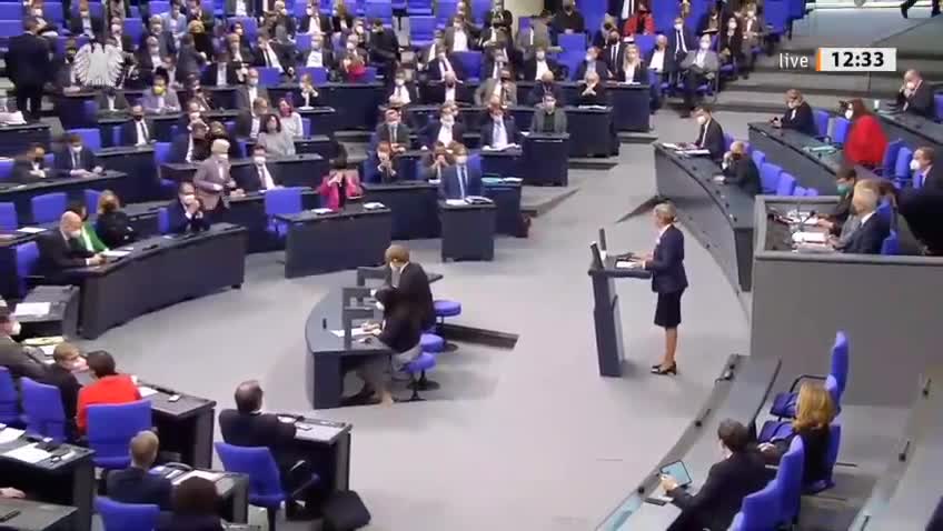 Alice Weidel Ansprache im Bundestag