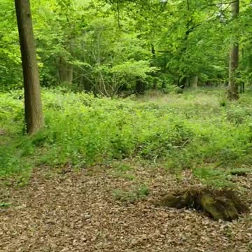 ANOTHER MINUTE OF PEACE 🙏🙏