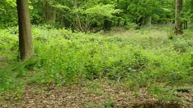 ANOTHER MINUTE OF PEACE 🙏🙏