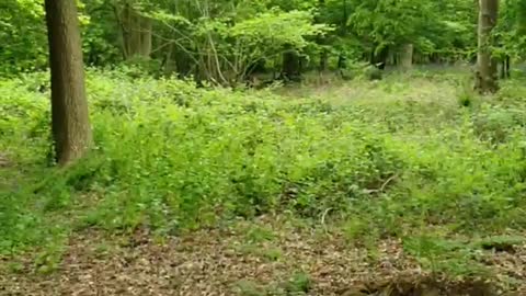 ANOTHER MINUTE OF PEACE 🙏🙏