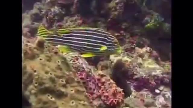 Time with God - December 5