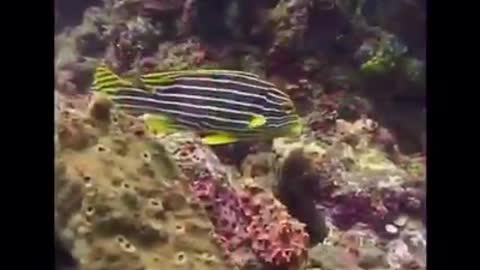 Time with God - December 5