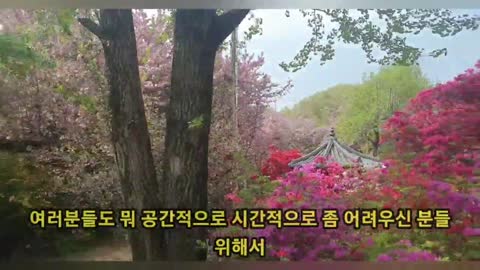(마스크시비주의)전주완산공원꽃동산