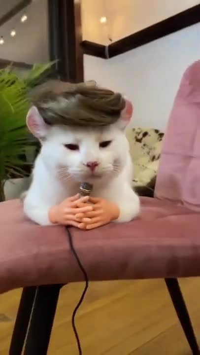 See for yourself :))