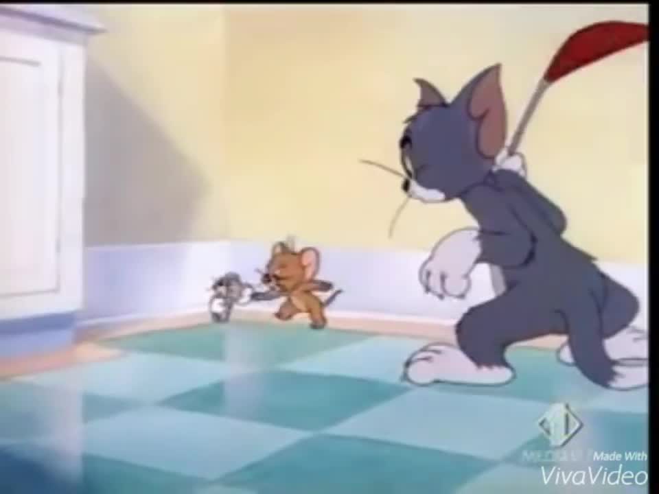 Tom and Jerry after exam results