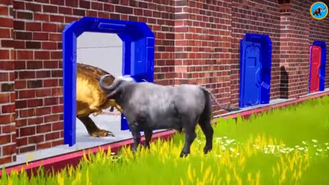 Cow Tiger Mammoth Elephant Bull Buffalo oose The Right Door Game Funny Videos_Cut