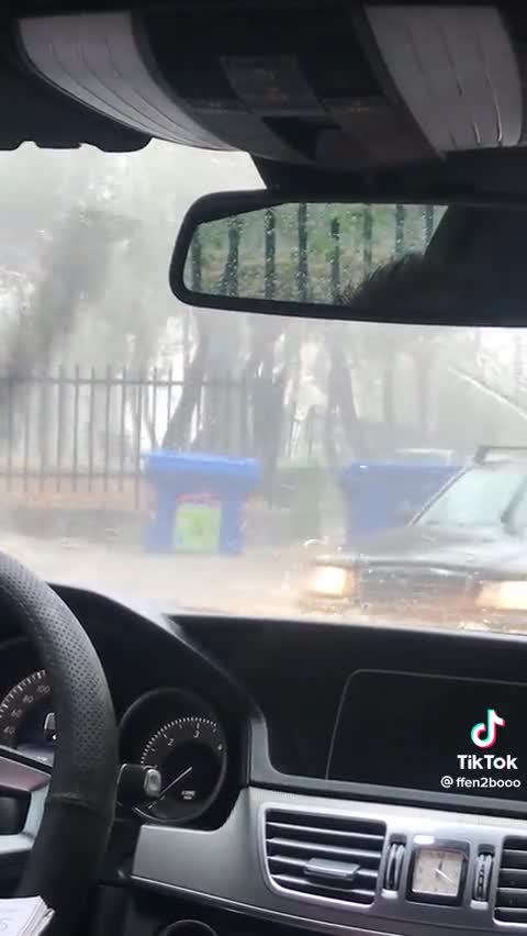 Η ΛΙΜΝΗ ΤΩΝ ΚΥΚΝΩΝ ΠΑΡΩΔΙΑ