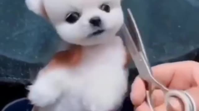 Fanny video