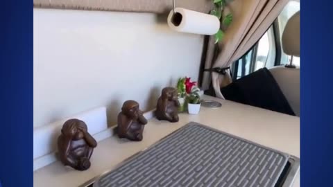 Mobile Home Life 11