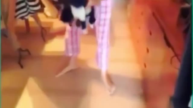 Funniest Cats 😹 - Don't try to hold back Laughter
