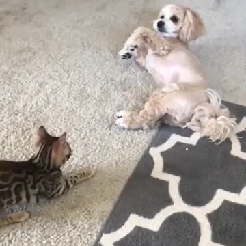 When you see bae again 😍😂