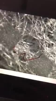 morgellon prove on mask nr 6